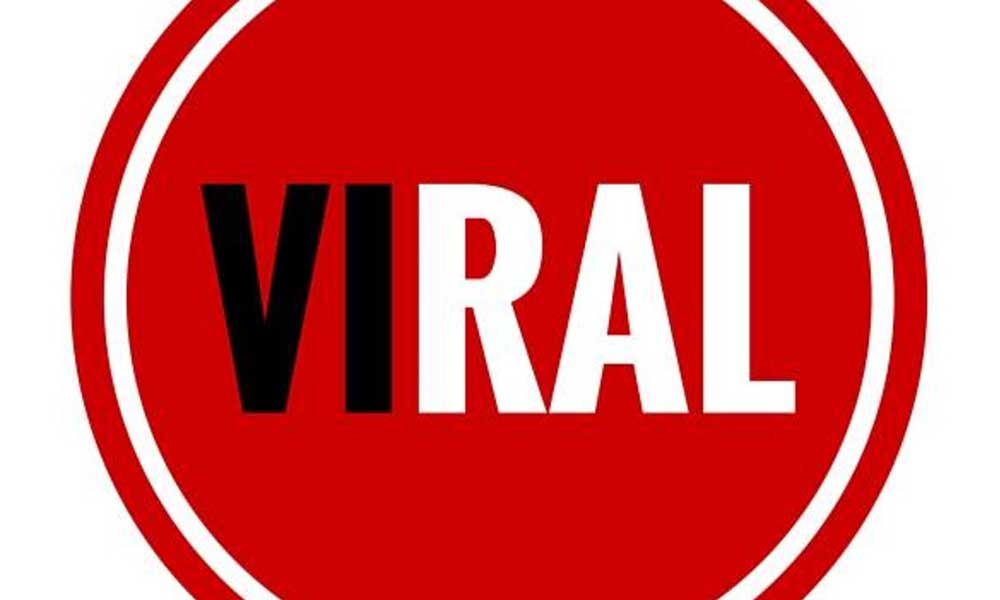 Qué significa viral en internet