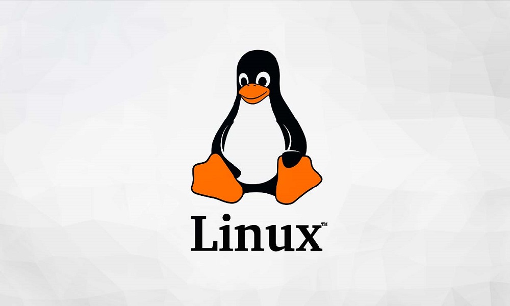 Ventajas y desventajas de Linux