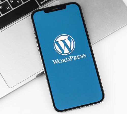agencia WordPress SEO
