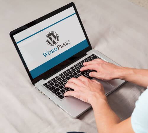 Especialistas en desarrollo y Diseño web en WordPress