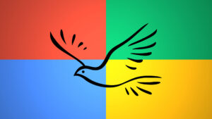 ¿Qué es la actualización de algoritmo Google Pigeon?