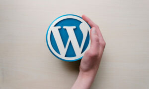 Los mejores plugin de Wordpress