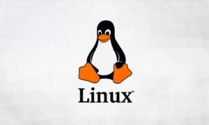 Desventajas y Ventajas de Linux (sus Pros y Contras)